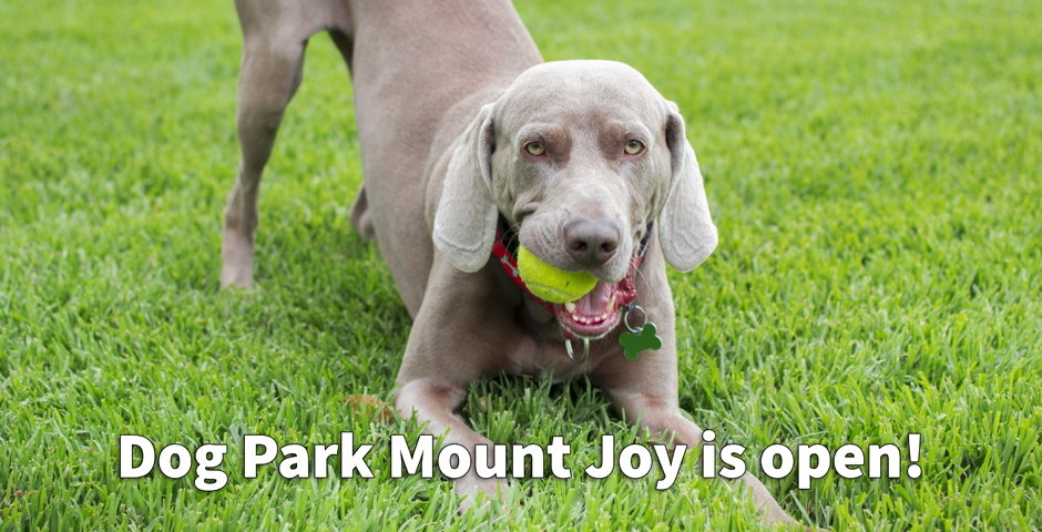 Dog Park Mount Joy is Open